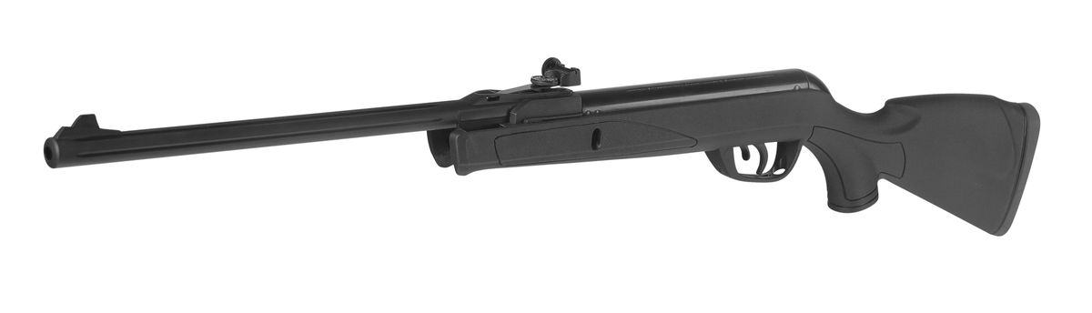 GAMO DELTA 4.5 mm (Ref. 61100521)